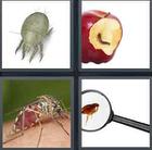 4 Pics 1 Word answers and cheats level 3567