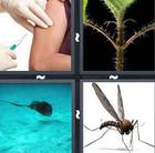 4 Pics 1 Word answers and cheats level 645