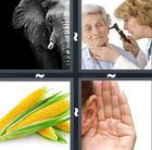 4 Pics 1 Word answers and cheats level 673