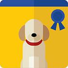 Icon Pop Brand answers and cheats level 9