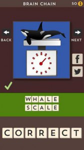 whale scale brain chain